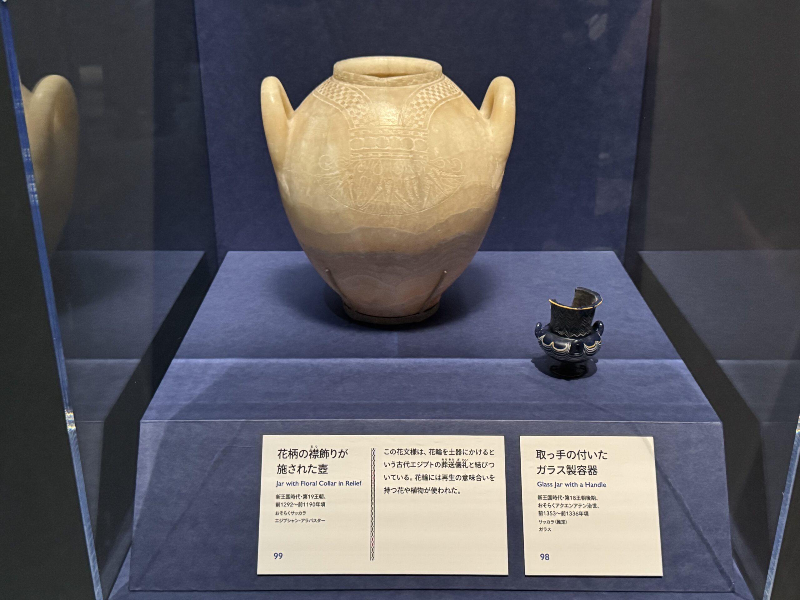 IMG_6926.jpeg IMG 6926