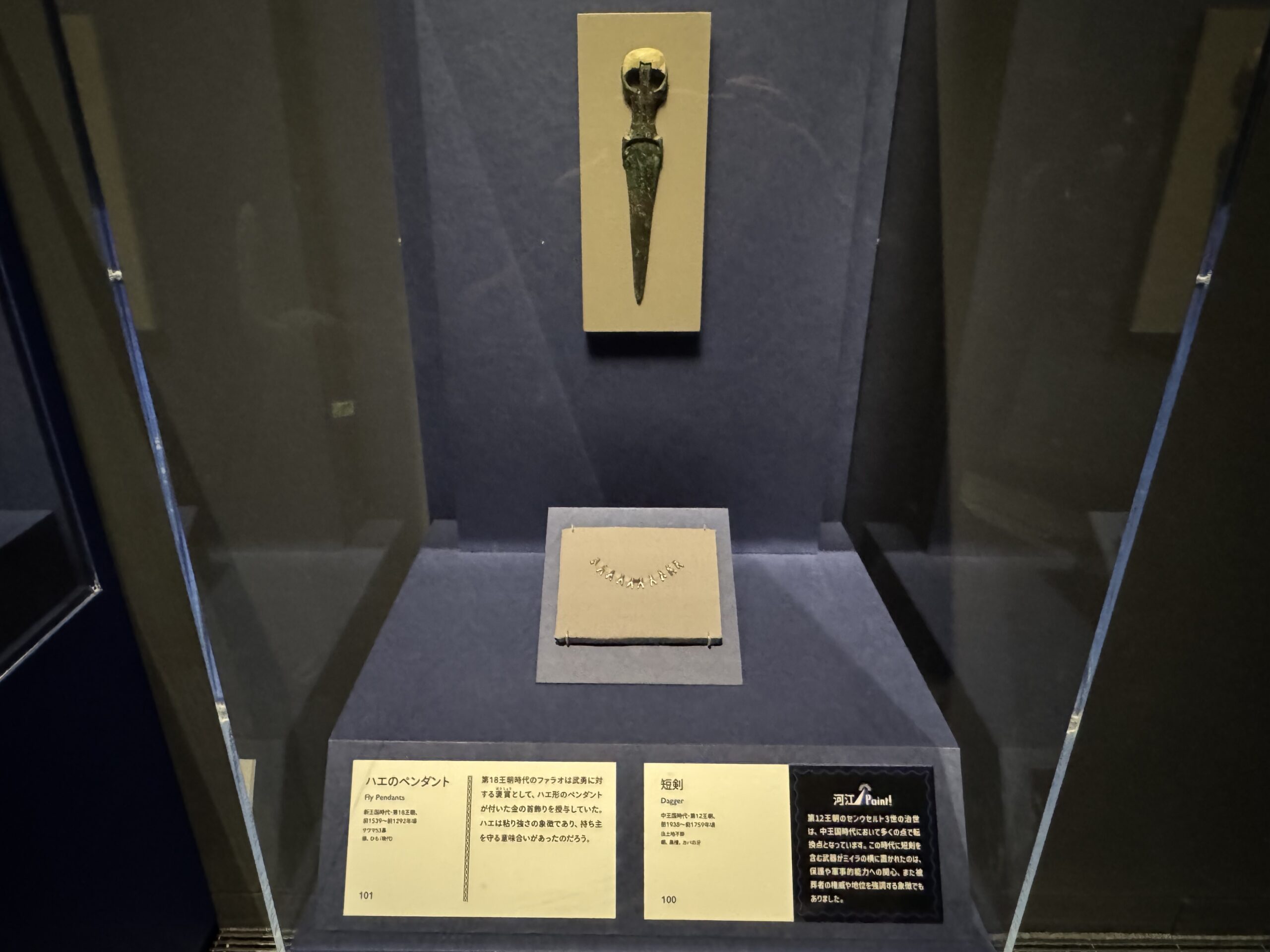 IMG_6927.jpeg IMG 6927