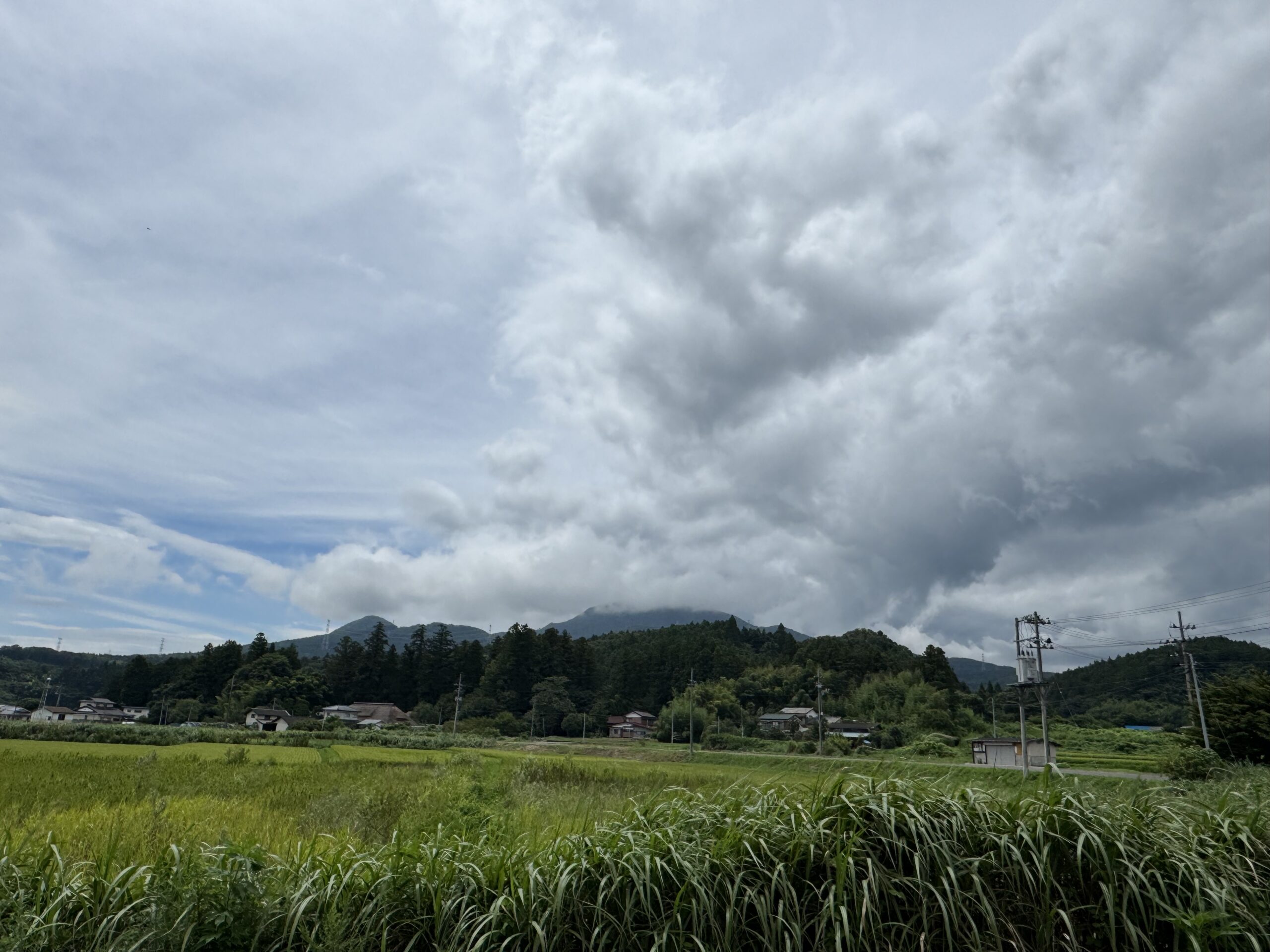 IMG_7014.jpeg IMG 7014