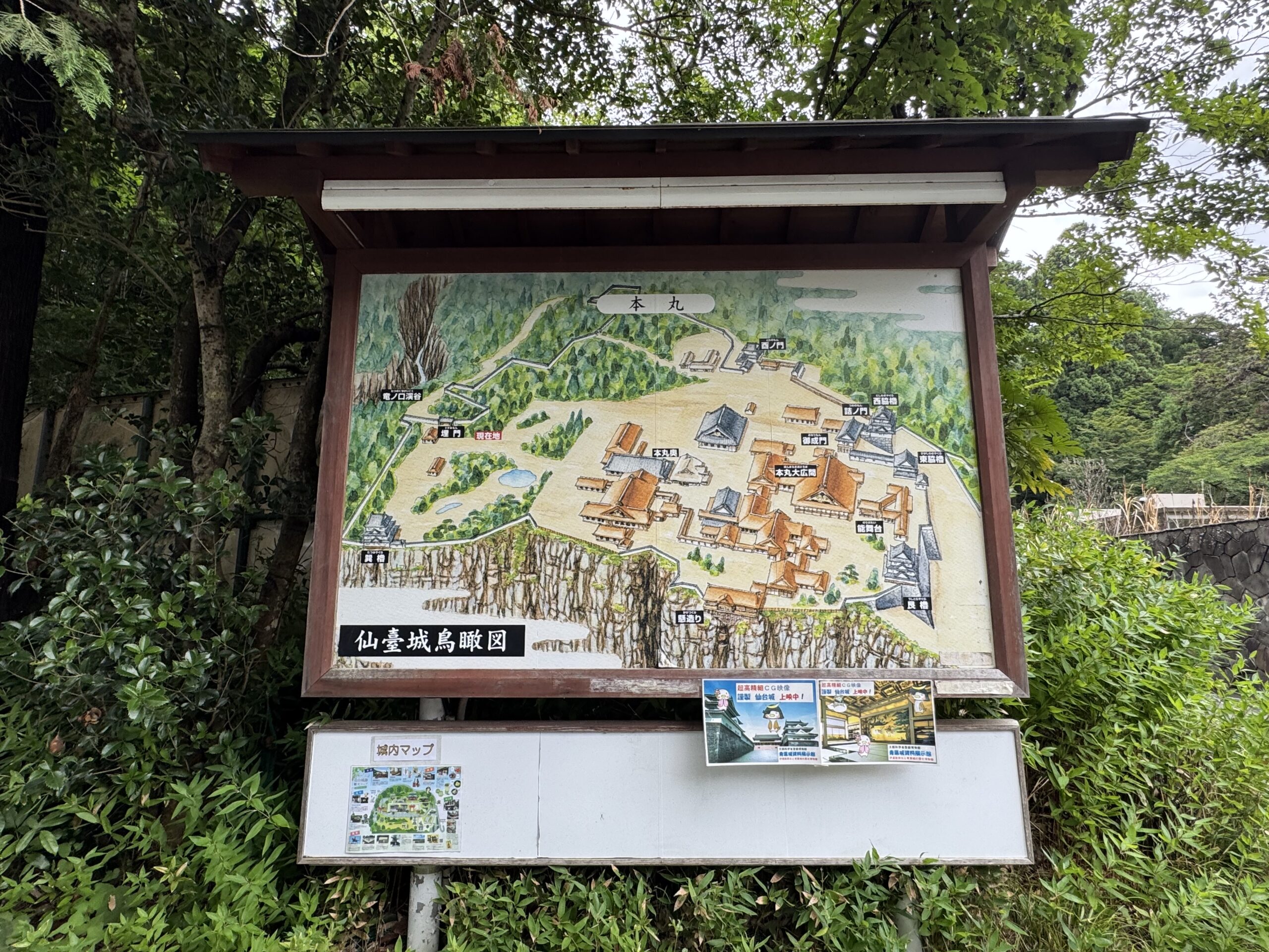 IMG_7018.jpeg IMG 7018