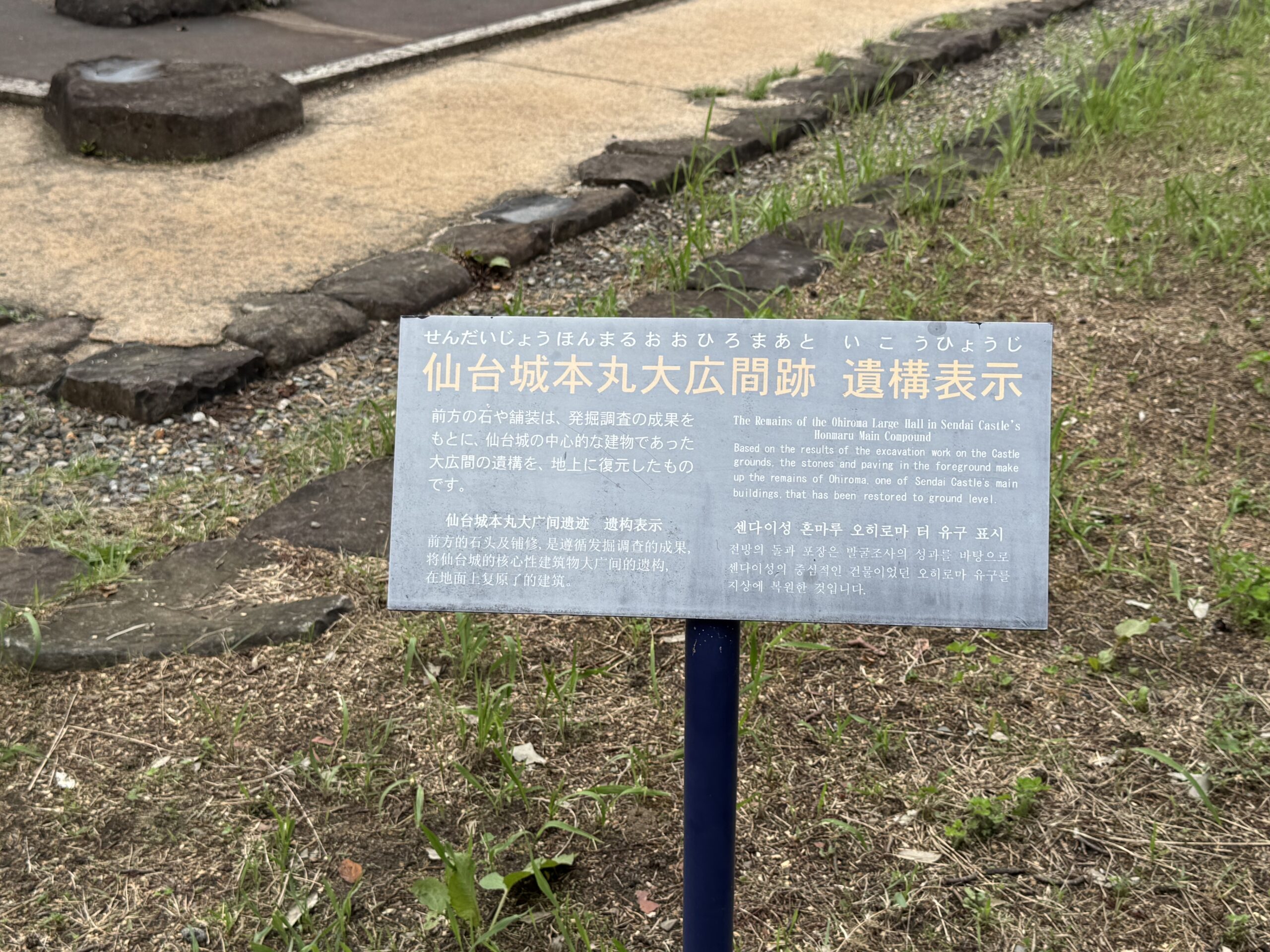 IMG_7031.jpeg IMG 7031