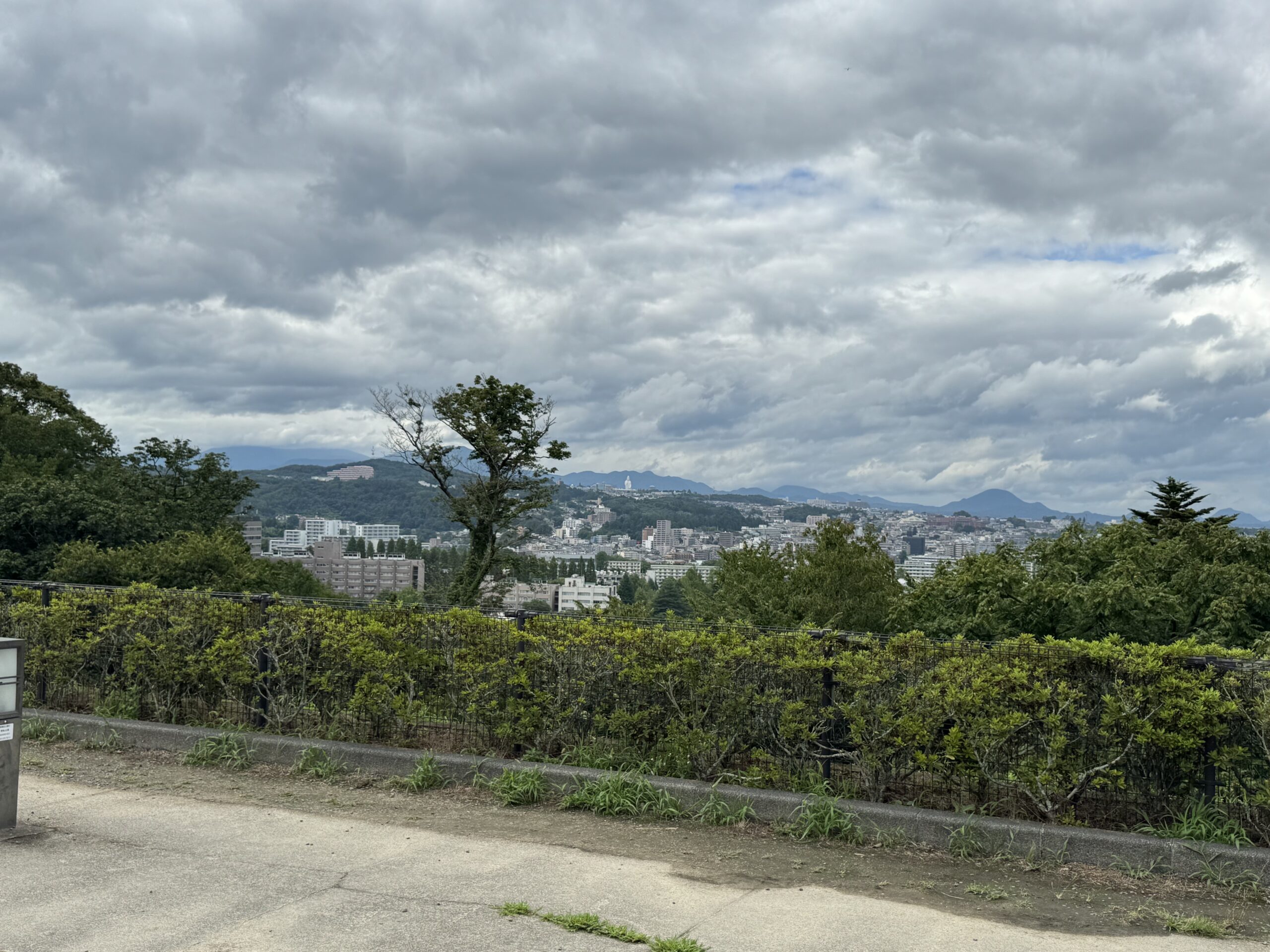IMG_7054.jpeg IMG 7054