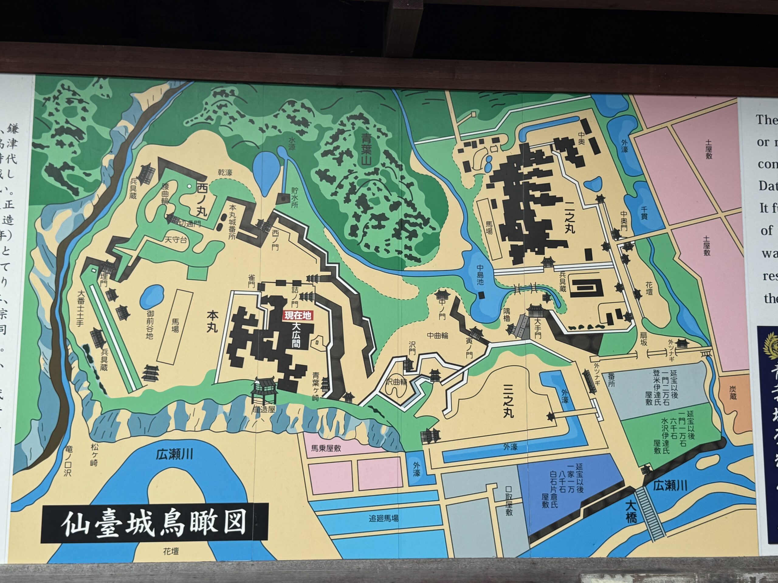 IMG_7057.jpeg IMG 7057