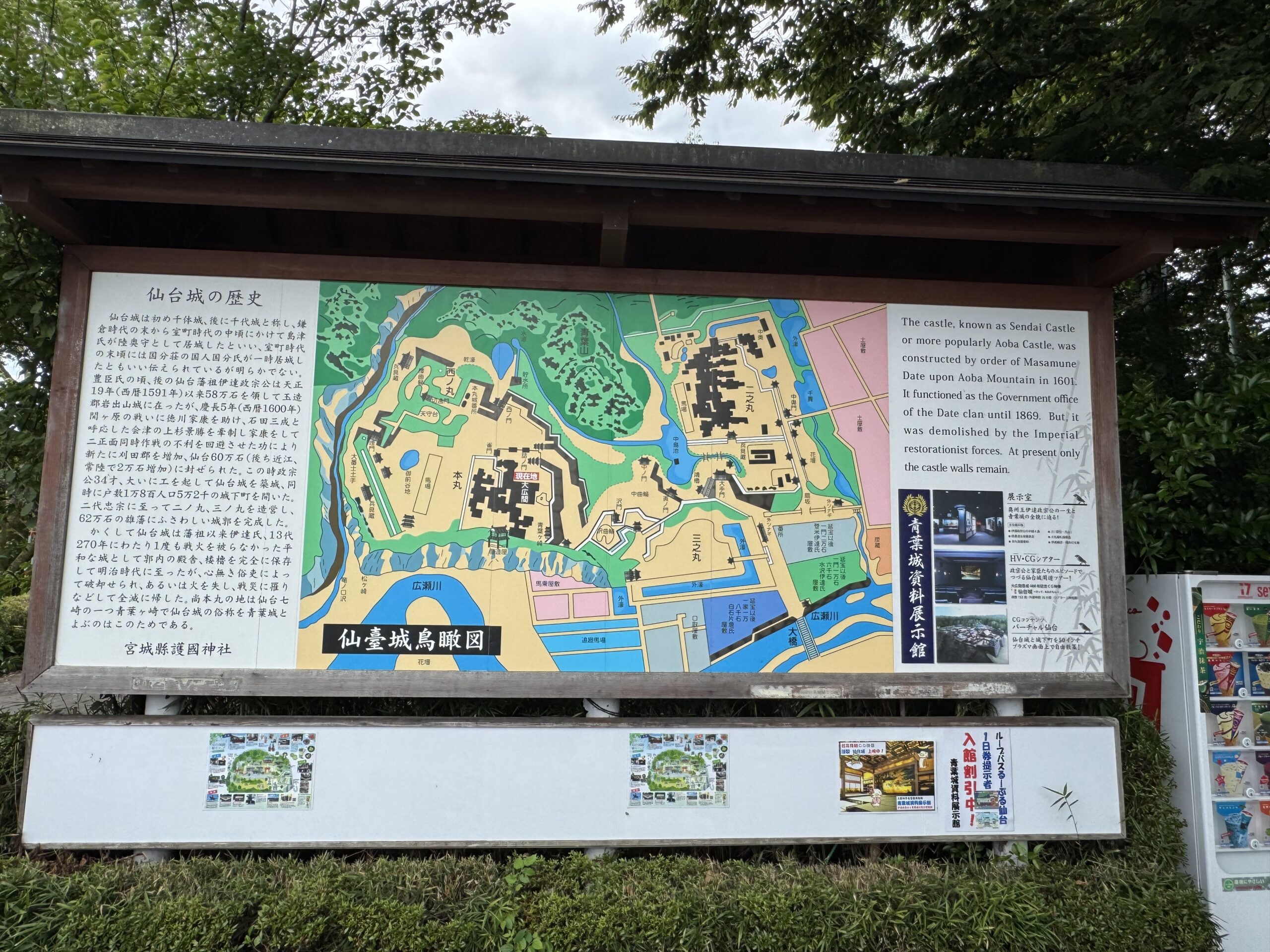 IMG_7058.jpeg IMG 7058