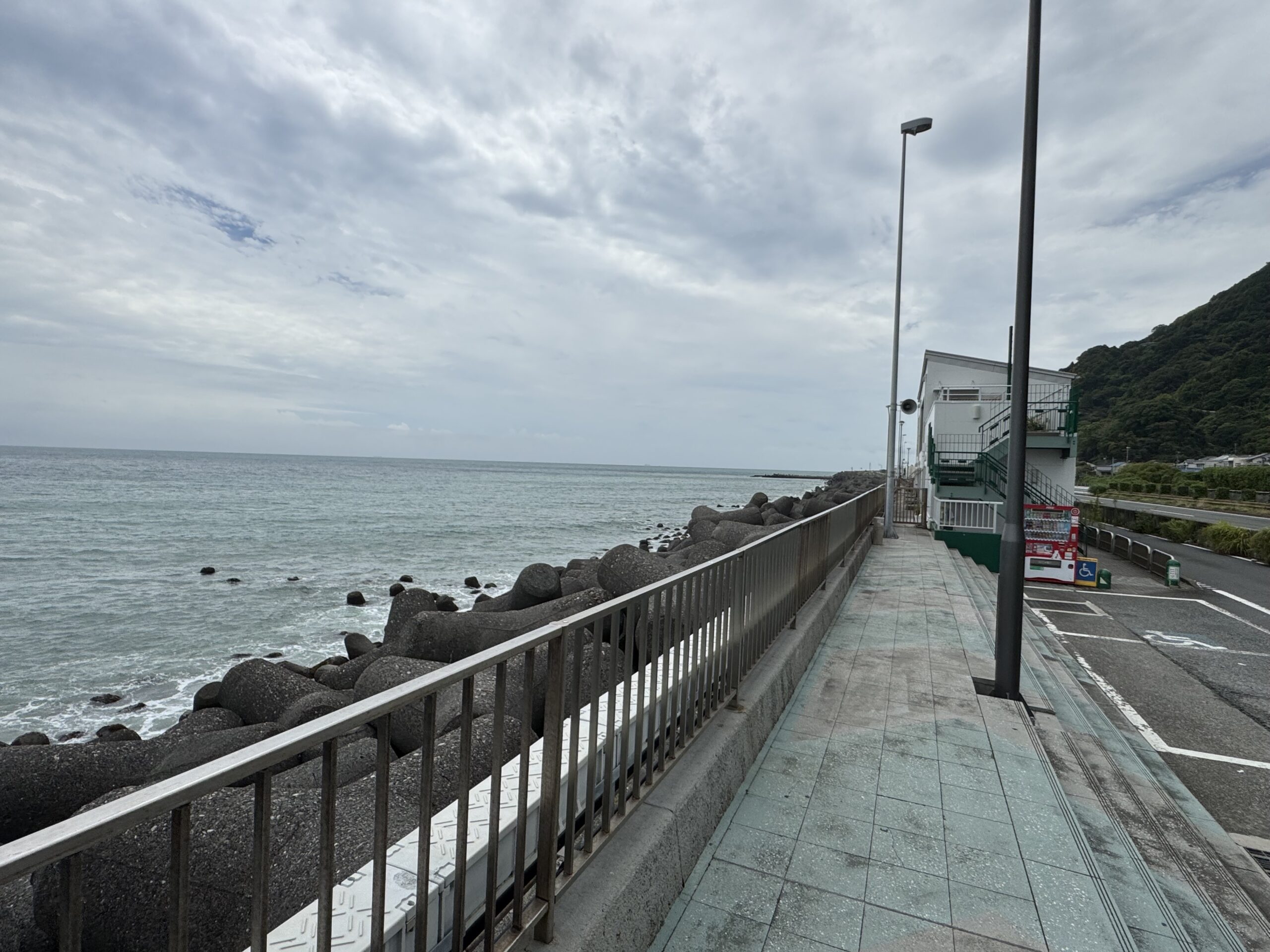 IMG_7084.jpeg IMG 7084